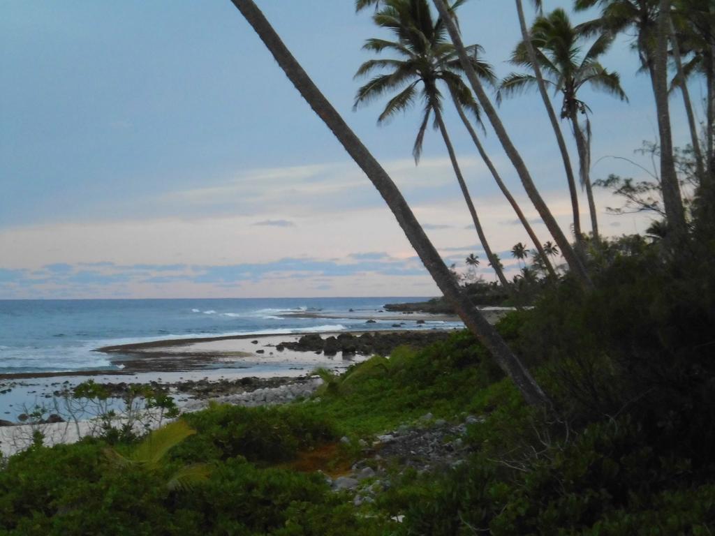 Herons Reef Holiday Apartments Rarotonga Exterior foto